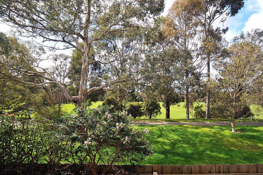 28 Sunshine Avenue, MITCHAM VIC 3132, Mitcham - Thumbnail 6