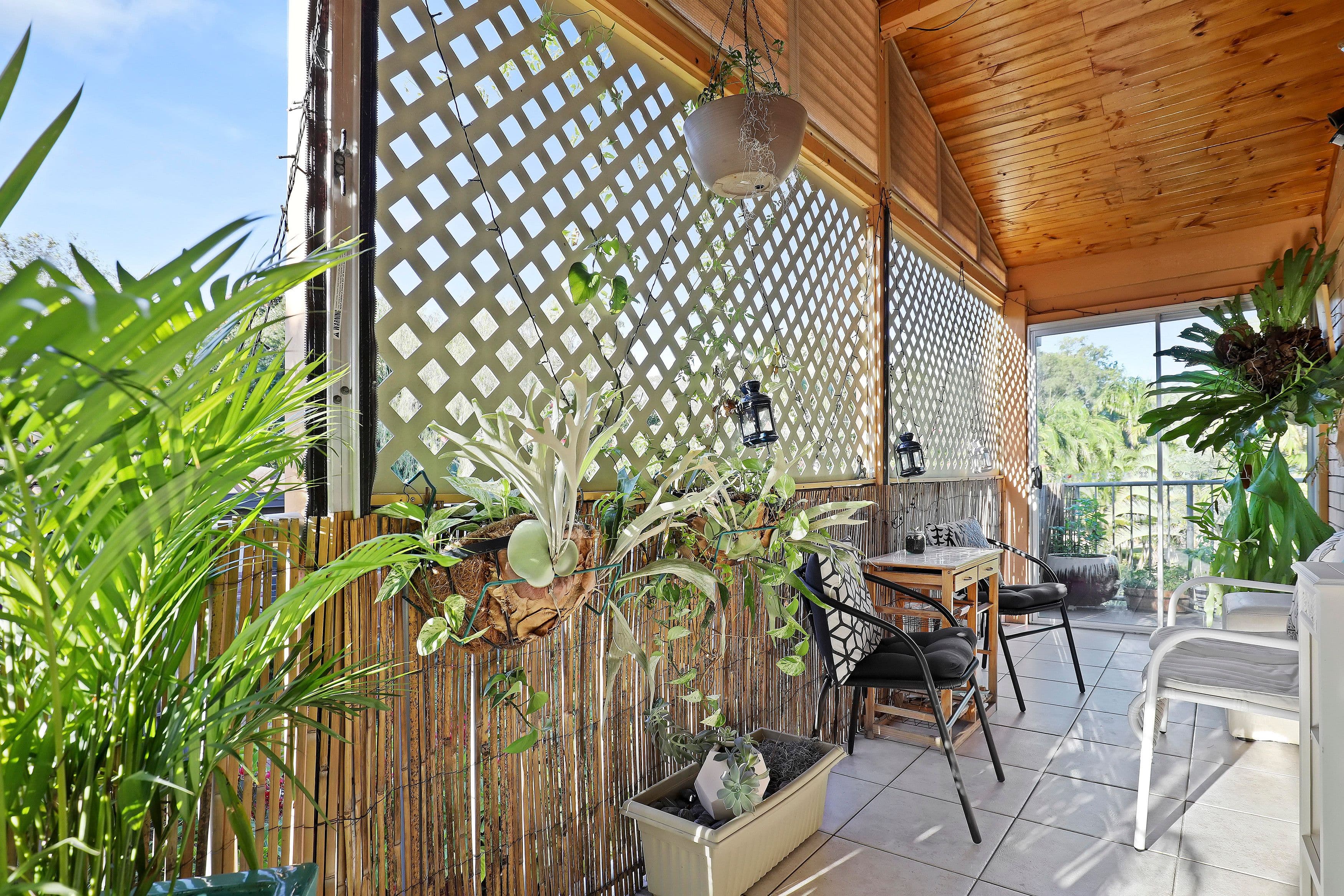 15 Alfriston Drive, Buderim QLD 4556, Buderim - Thumbnail 4