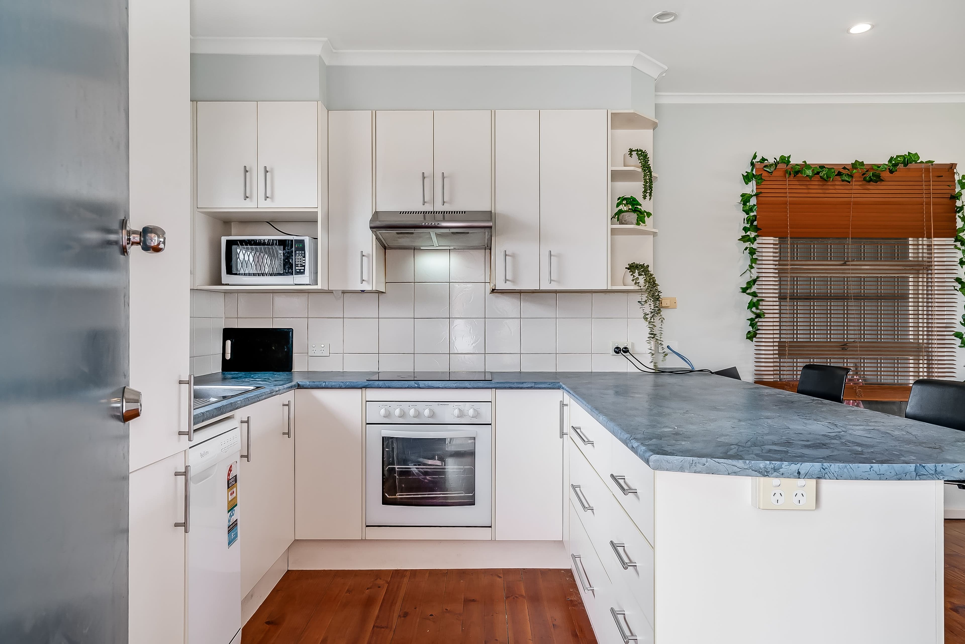 49 Coondoo Avenue, Ingle Farm SA 5098, Ingle Farm - Thumbnail 7