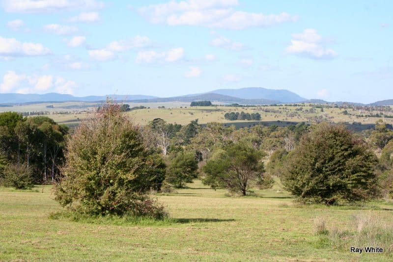 101 Hawthorne Lane, BRAIDWOOD NSW 2622, Braidwood - Thumbnail 3