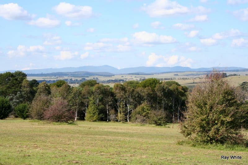 101 Hawthorne Lane, BRAIDWOOD NSW 2622, Braidwood - Thumbnail 4