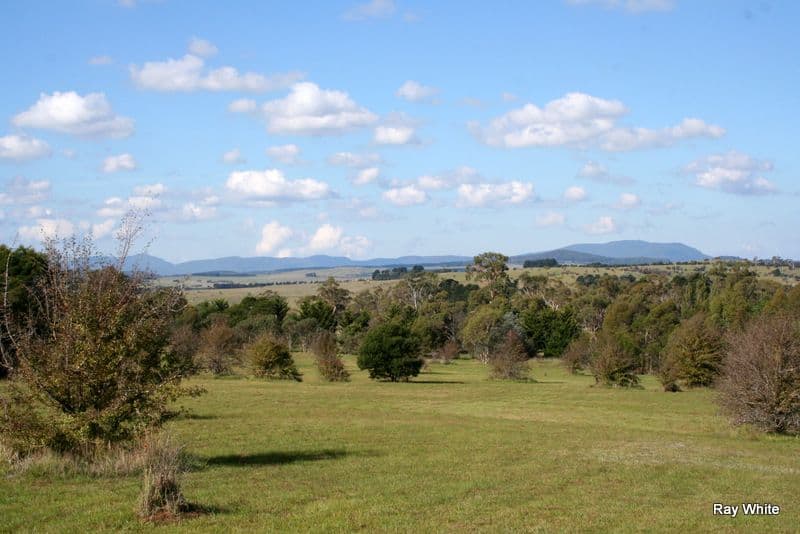 101 Hawthorne Lane, BRAIDWOOD NSW 2622, Braidwood - Thumbnail 5