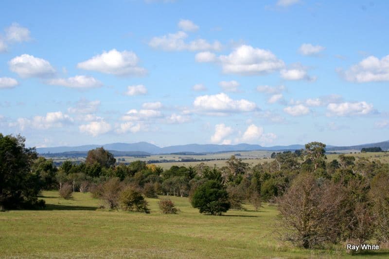 101 Hawthorne Lane, BRAIDWOOD NSW 2622, Braidwood - Thumbnail 7