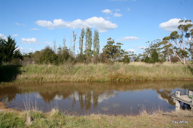 101 Hawthorne Lane, BRAIDWOOD NSW 2622, Braidwood - Thumbnail 8