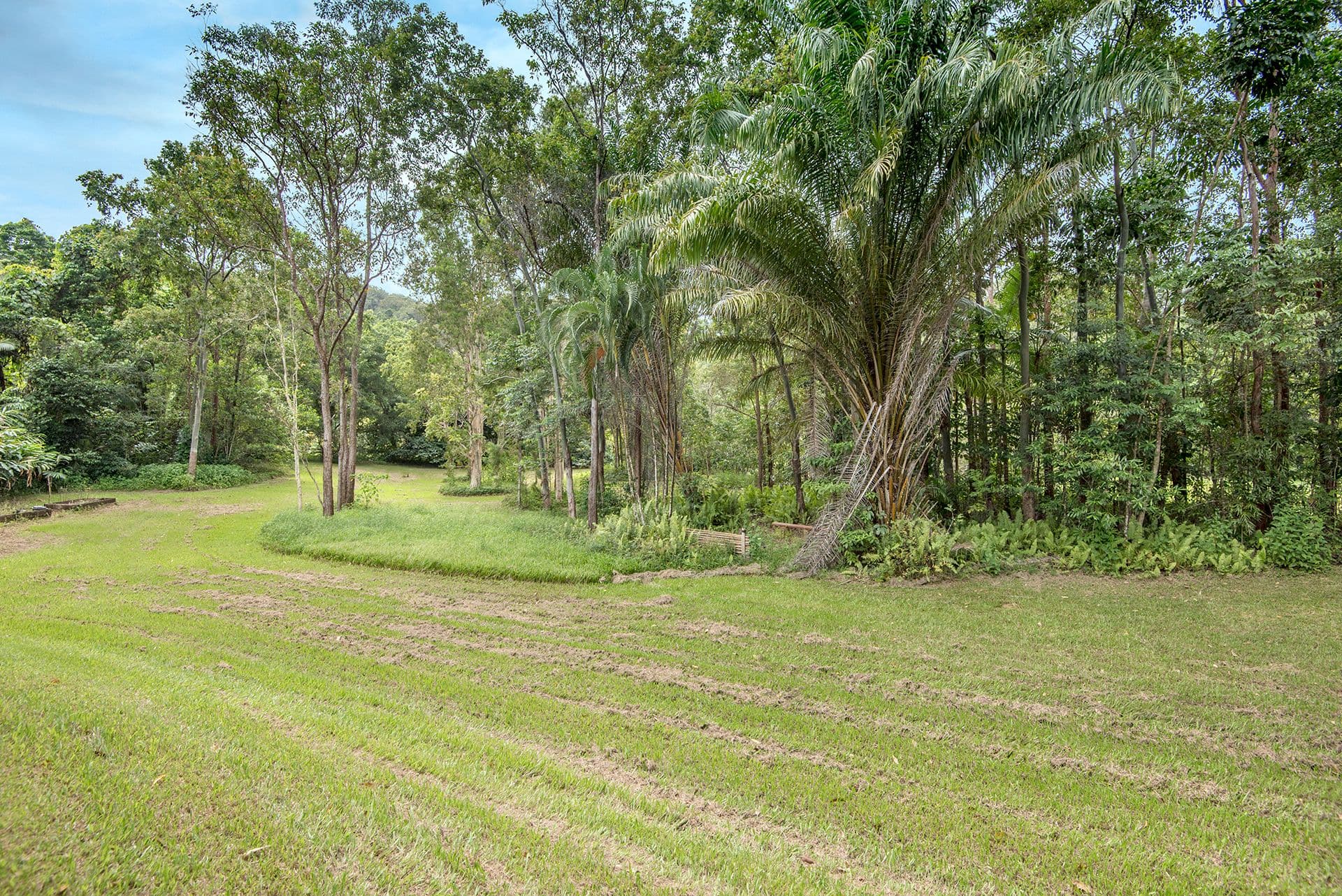 32 Kingfisher Lane, Whyanbeel QLD 4873, Whyanbeel - Thumbnail 3