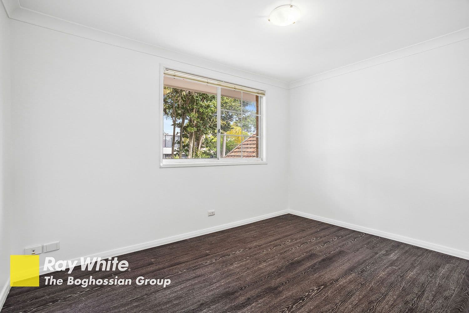 32 Elizabeth Street, Campsie NSW 2194, Campsie - Thumbnail 8