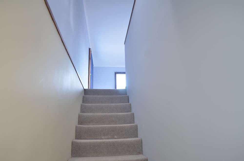 664 Pearsall Street, LAVINGTON NSW 2641, Lavington - Thumbnail 6