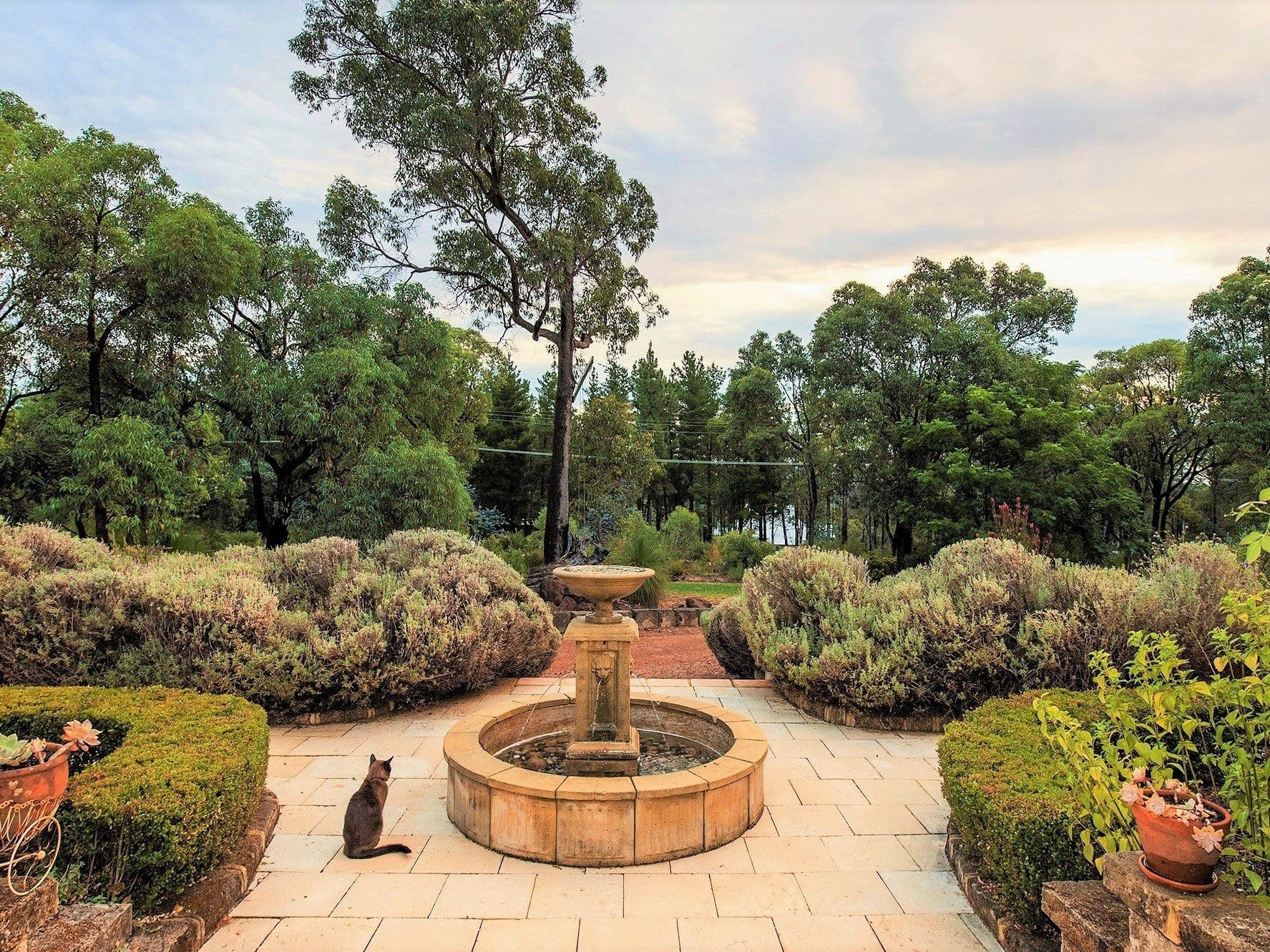 12/68 Woornack Road, Carnegie - Thumbnail 6