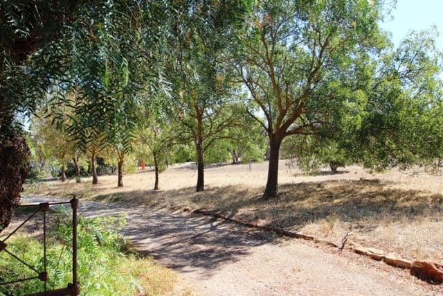 Lot 80 Kingston Terrace, Auburn SA 5451, Auburn - Thumbnail 2