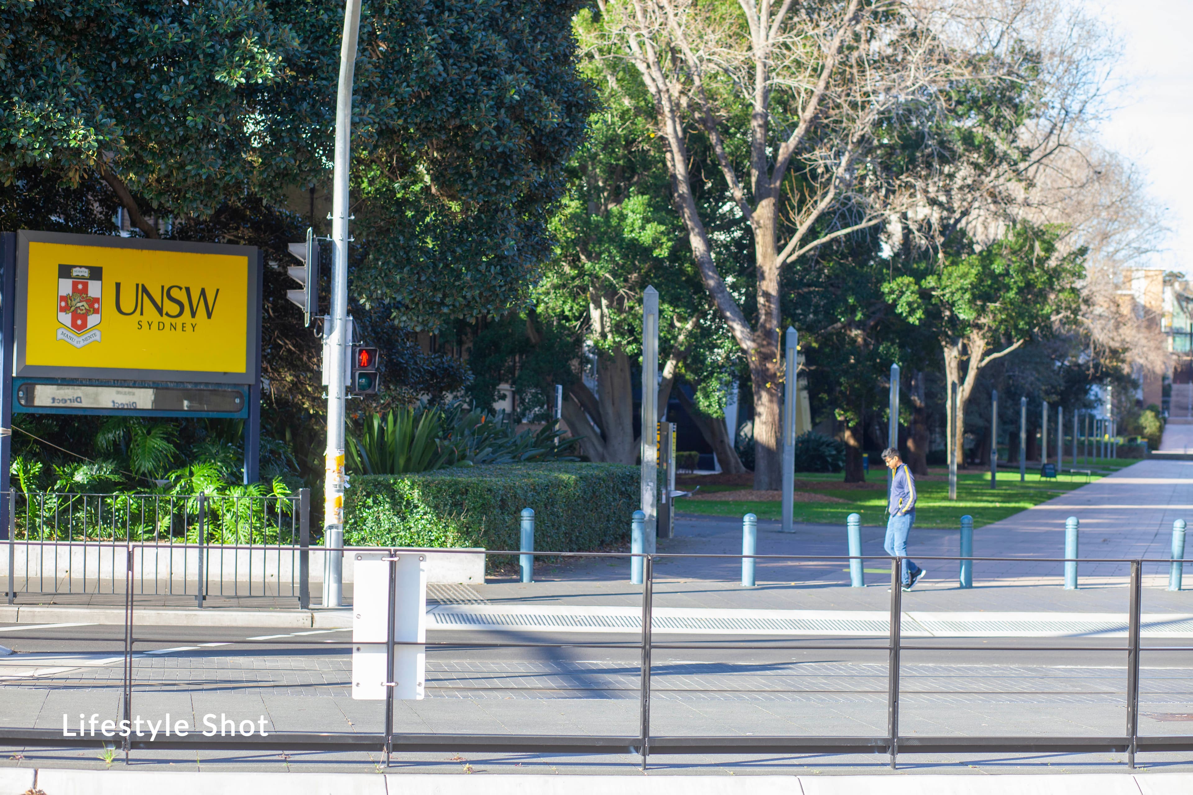 64 Milroy Avenue, Kensington NSW 2033, Kensington - Thumbnail 8
