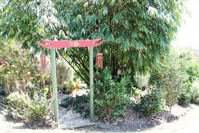 6 Elbert Court, TAMBORINE MOUNTAIN QLD 4272, Tamborine Mountain - Thumbnail 7