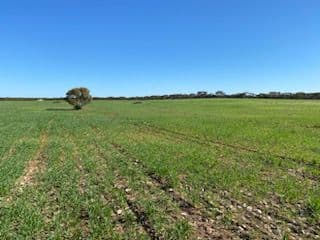 4186 Port Kenny Road, Karcultaby, SA, 5654, Karcultaby - Image 1