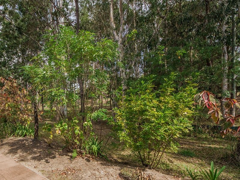 37 Old Coach Road, TALLAI QLD 4213, Tallai - Thumbnail 8