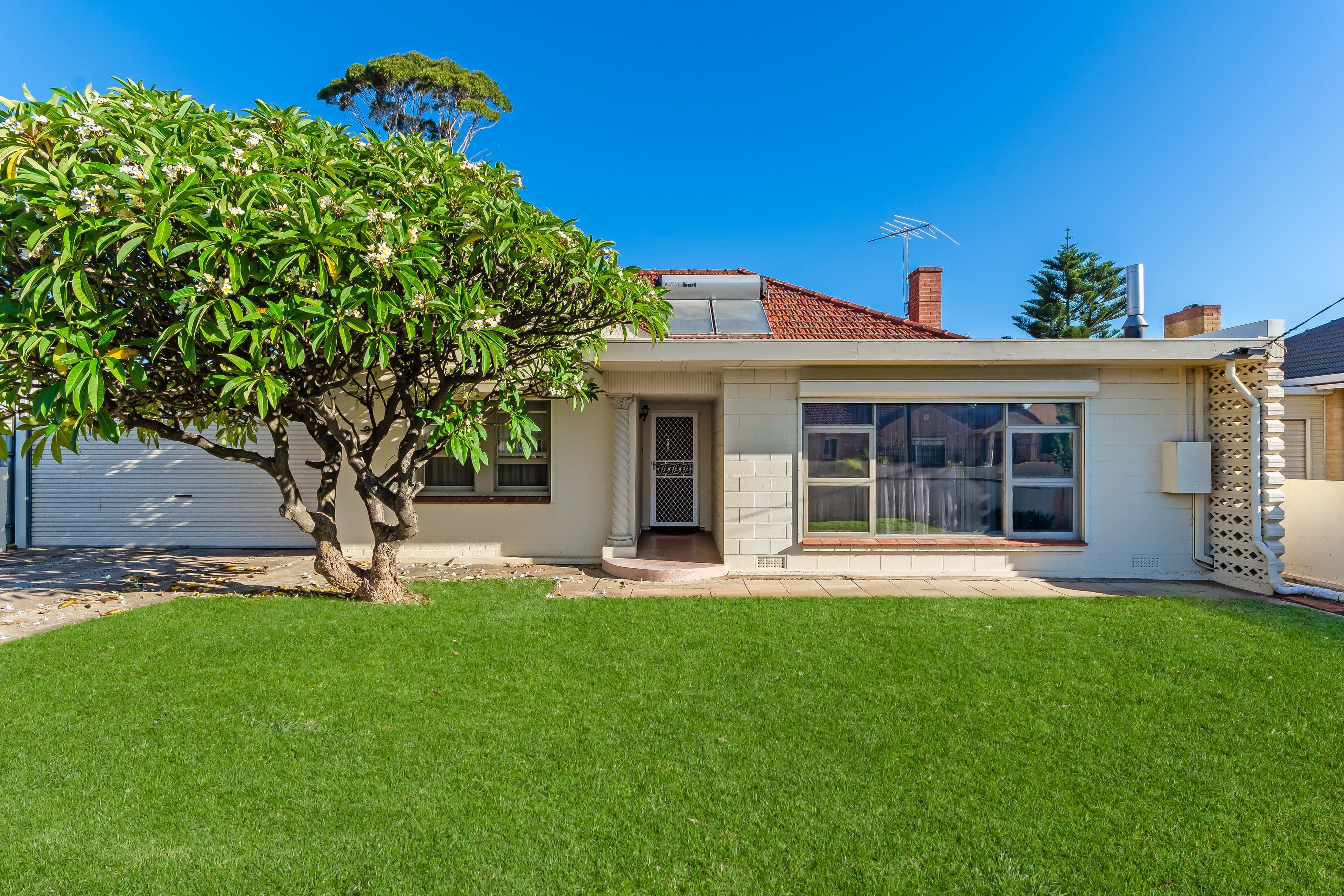 34 Fortisgreen Avenue, Pennington SA 5013, Pennington - Thumbnail 3