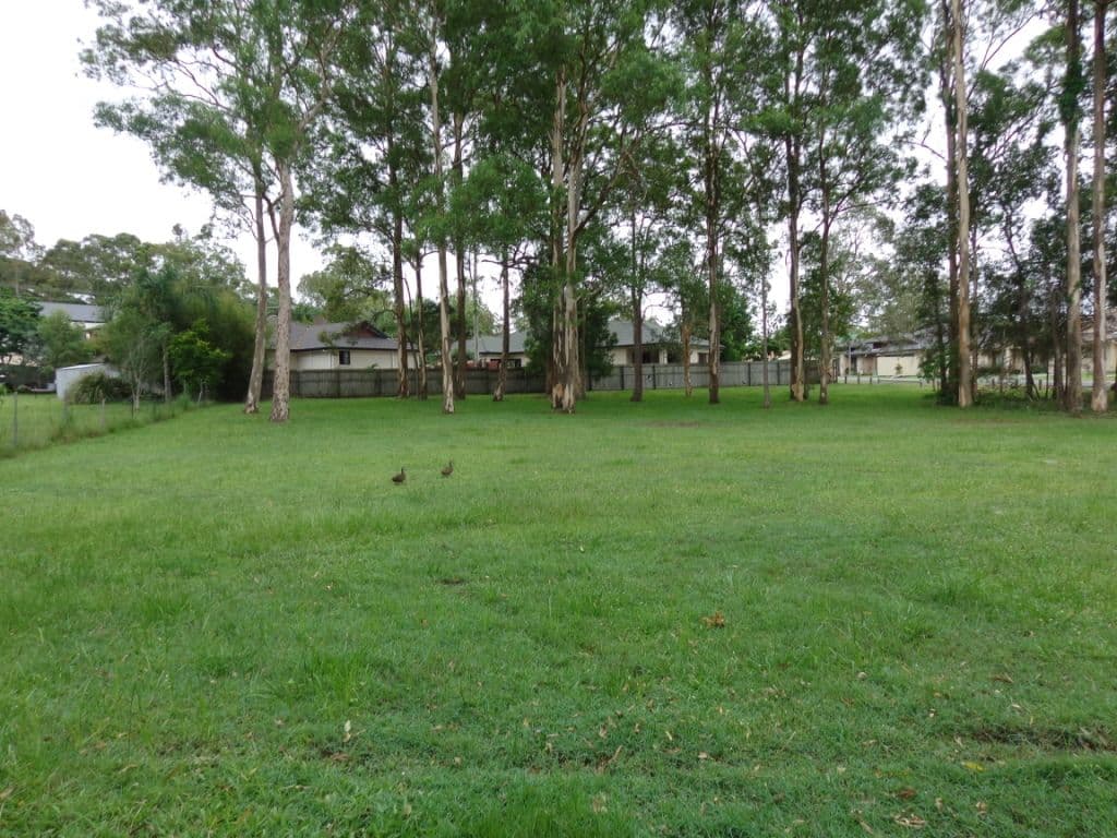 21 Tristania Street, CORNUBIA QLD 4130, Cornubia - Image 1