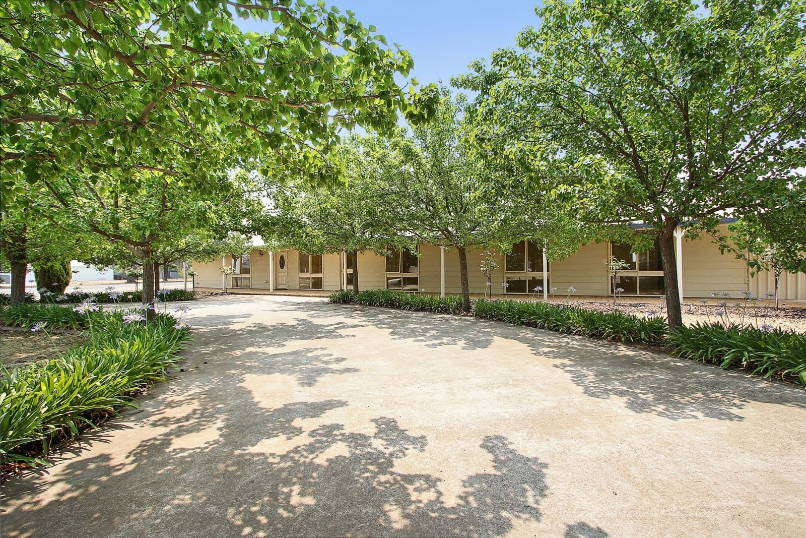 9 Fourth Street, Henty - Thumbnail 3