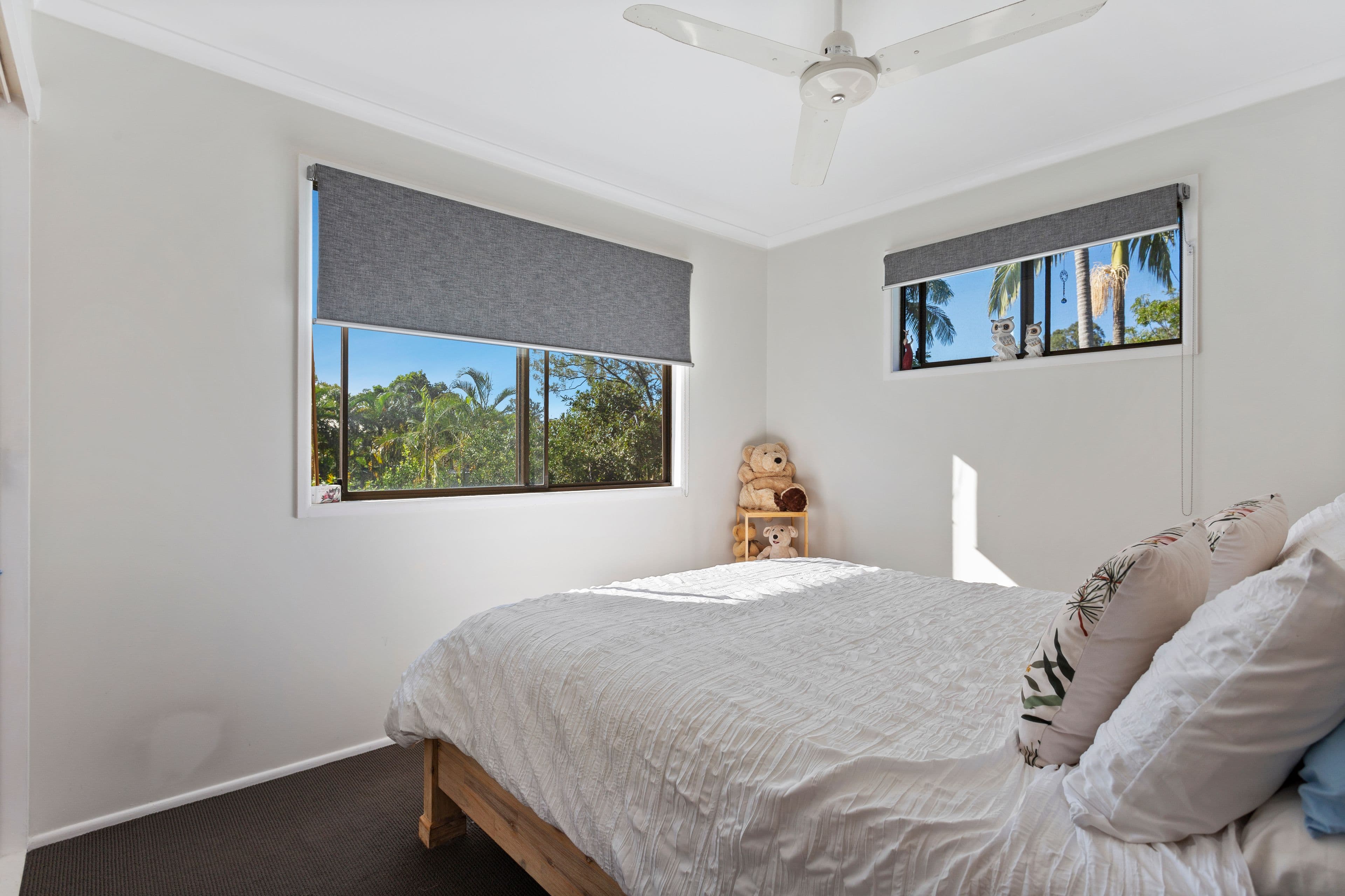 29 Paget Street, Mooloolah Valley QLD 4553, Mooloolah Valley - Thumbnail 6