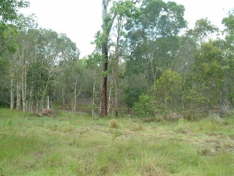 1478 Booral Road, SUNSHINE ACRES QLD 4655, Sunshine Acres - Image 1