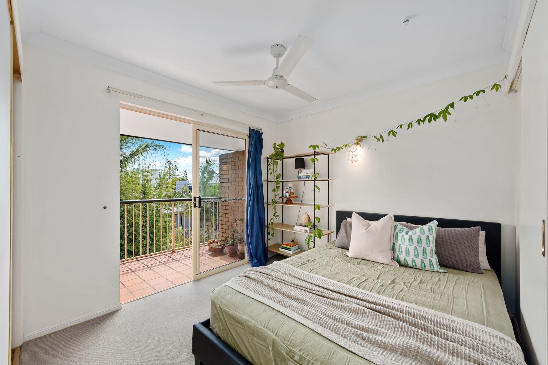 15 Cambridge Street, Bulimba QLD 4171, Bulimba - Thumbnail 8