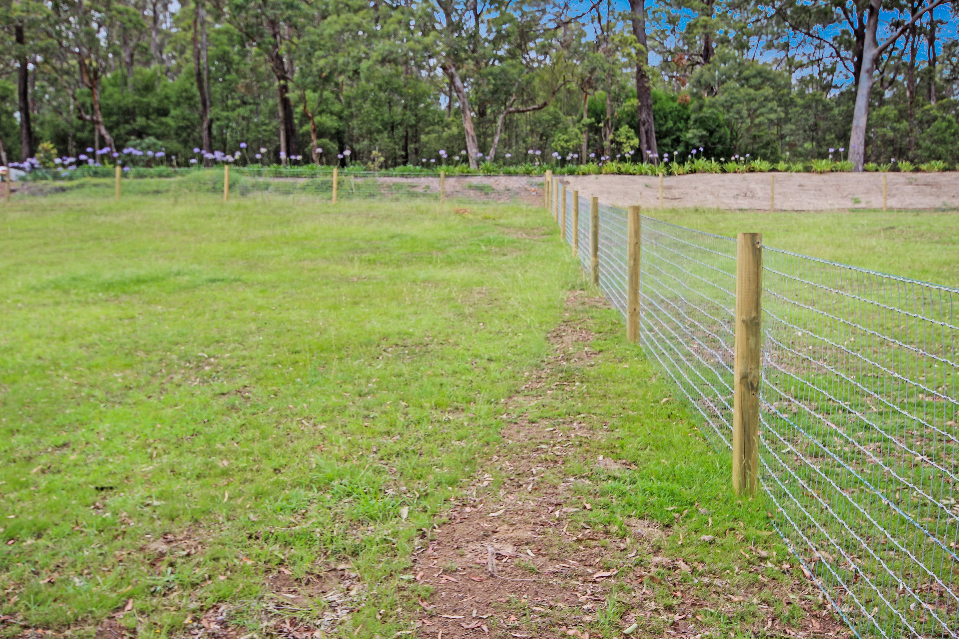 6 Azalea Street, Colo Vale NSW 2575, Colo Vale - Thumbnail 4