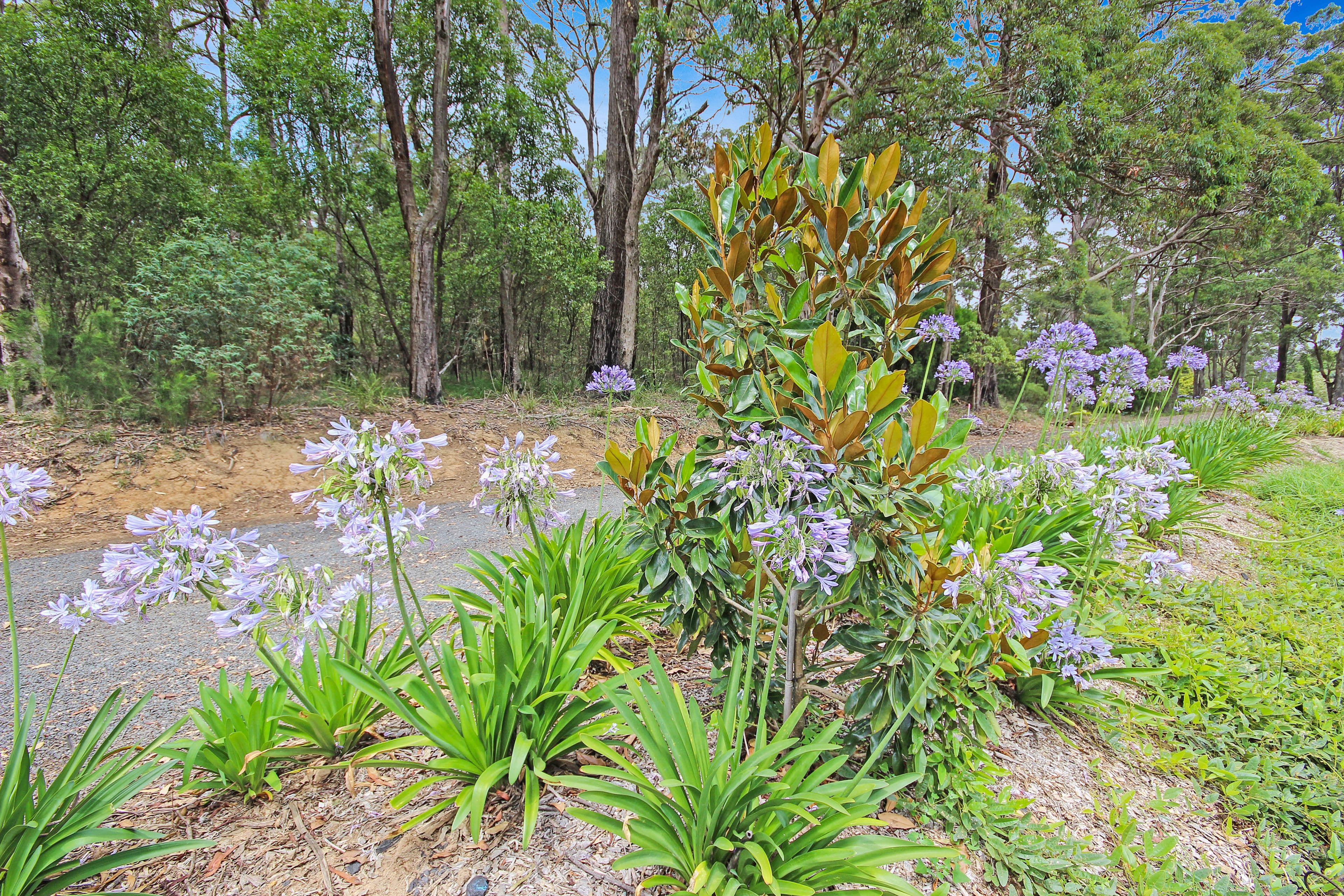6 Azalea Street, Colo Vale NSW 2575, Colo Vale - Thumbnail 7