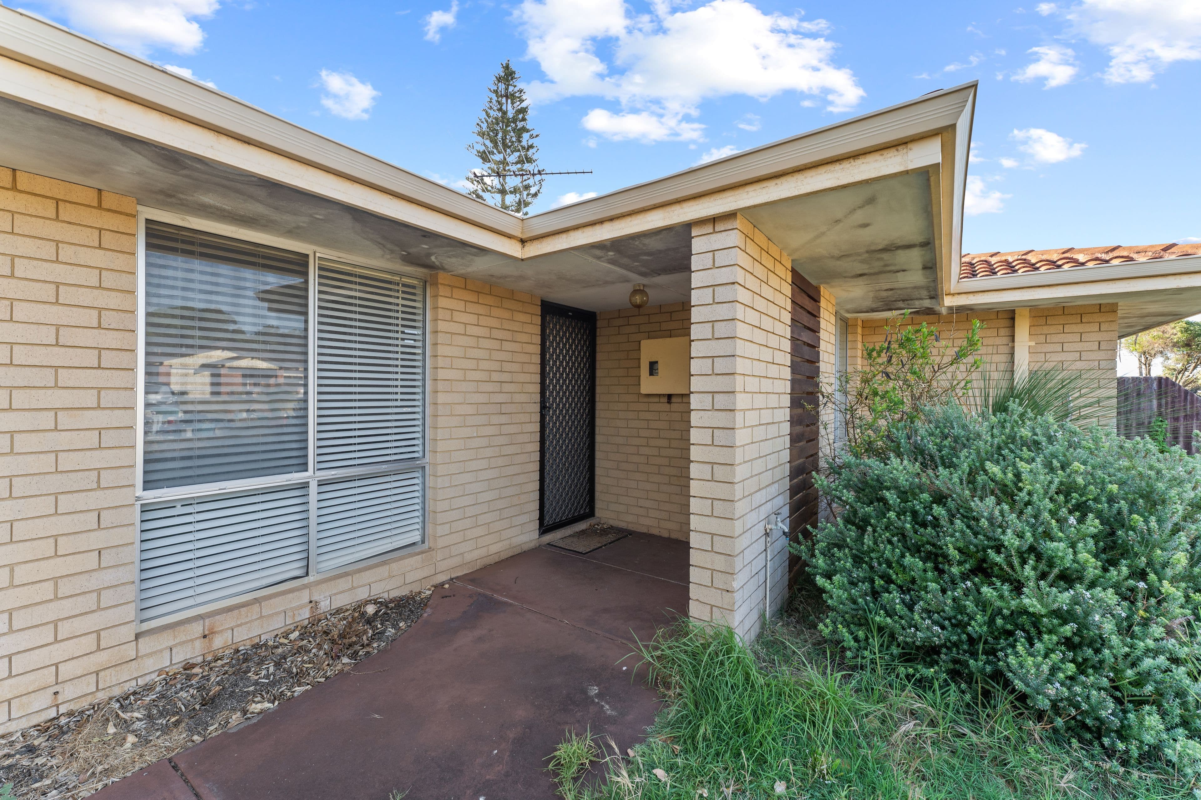 85 Haselmere Circus, Rockingham WA 6168, Rockingham - Thumbnail 3
