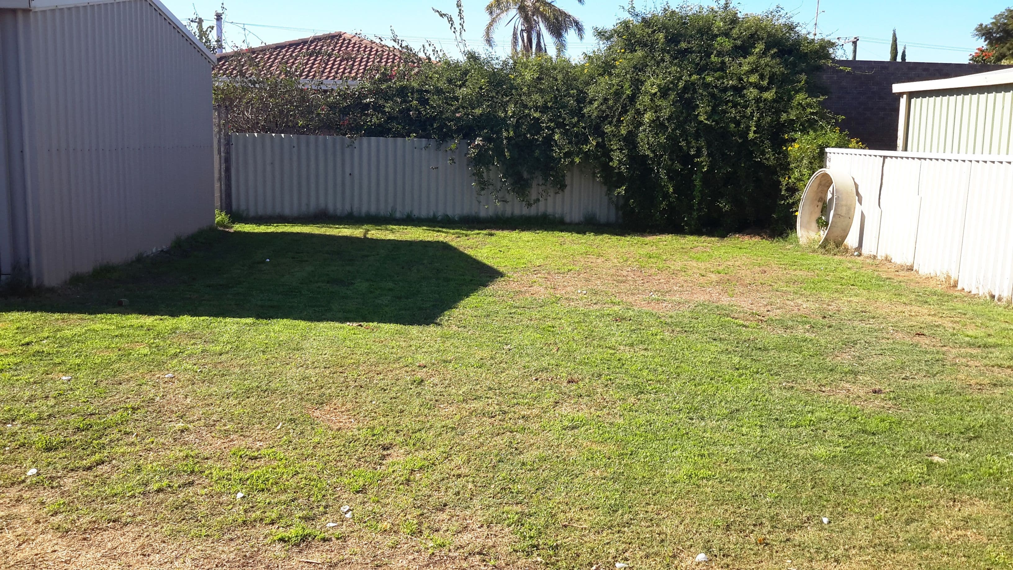 26 Dodd Street, Dongara WA 6525, Dongara - Thumbnail 2