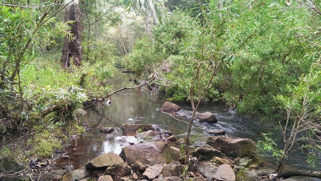 26 Corey Road, Wondecla QLD 4887, Wondecla - Thumbnail 4