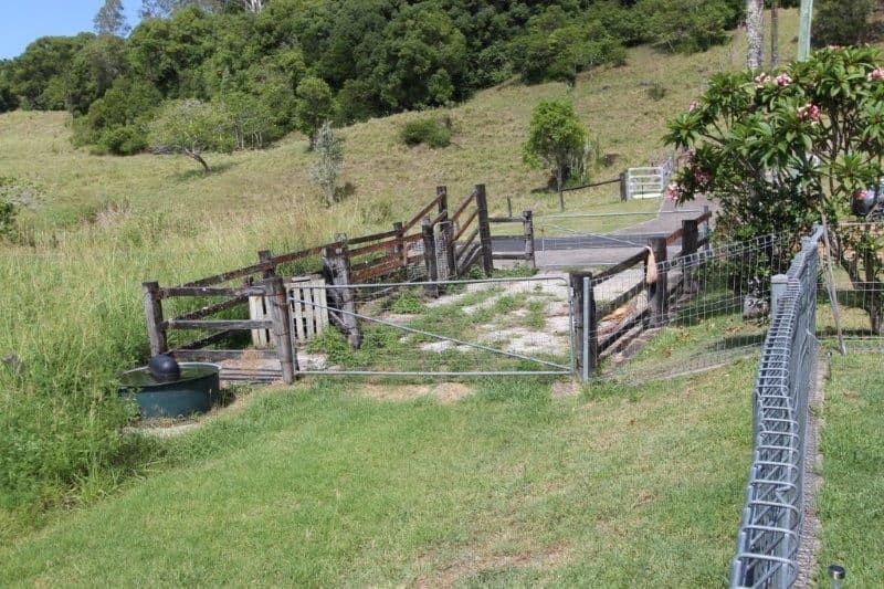 351 Keen Street, LISMORE NSW 2480, East Lismore - Thumbnail 3
