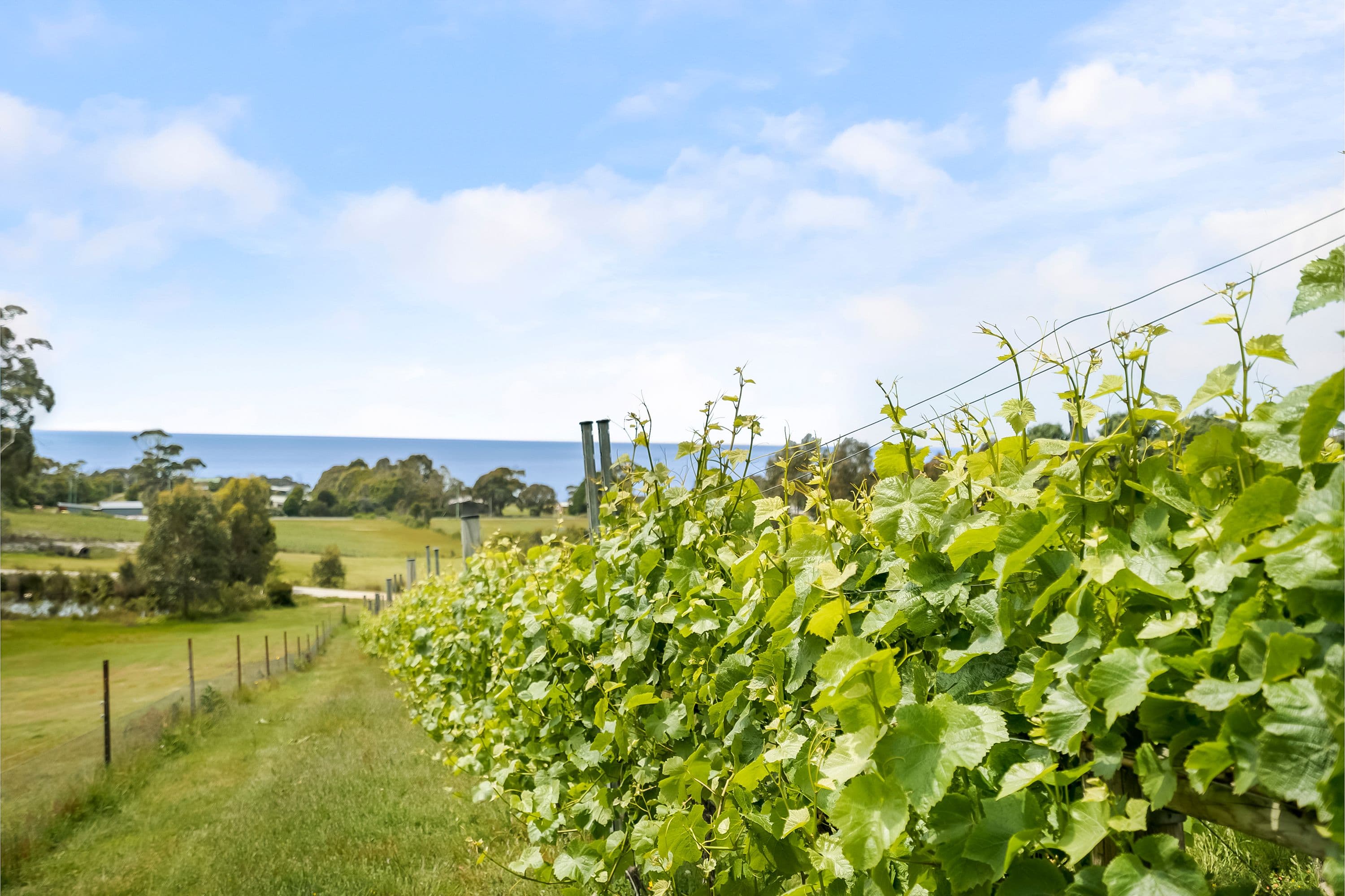 40 Harveys Farm Road, Bicheno TAS 7215, Bicheno - Image 1