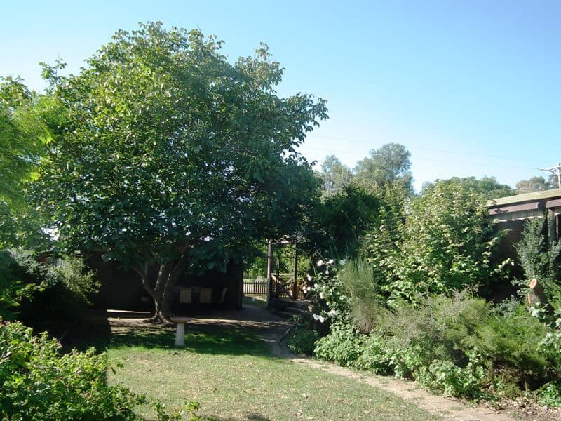 29 Craigmoor Crescent, Mernda, Mernda - Thumbnail 8