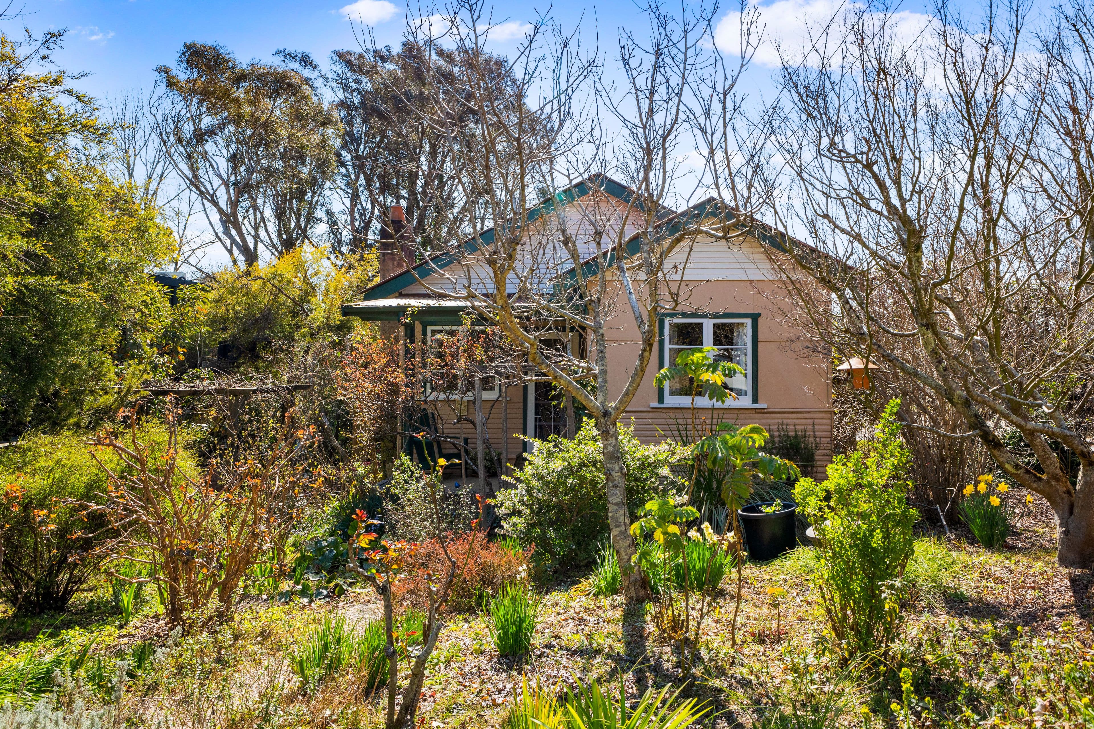 19 Neate Aveue, Blackheath NSW 2785, Blackheath - Image 1
