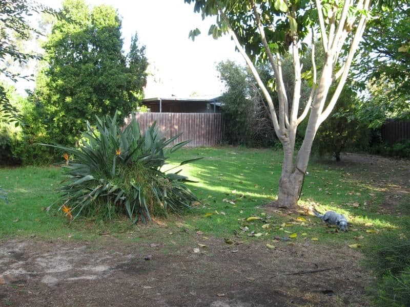 7 Netherwood Road, HIGH WYCOMBE WA 6057, High Wycombe - Thumbnail 3