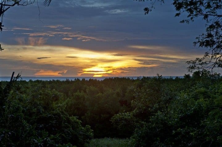 30 Martin Crescent, COCONUT GROVE NT 0810, Coconut Grove - Thumbnail 3