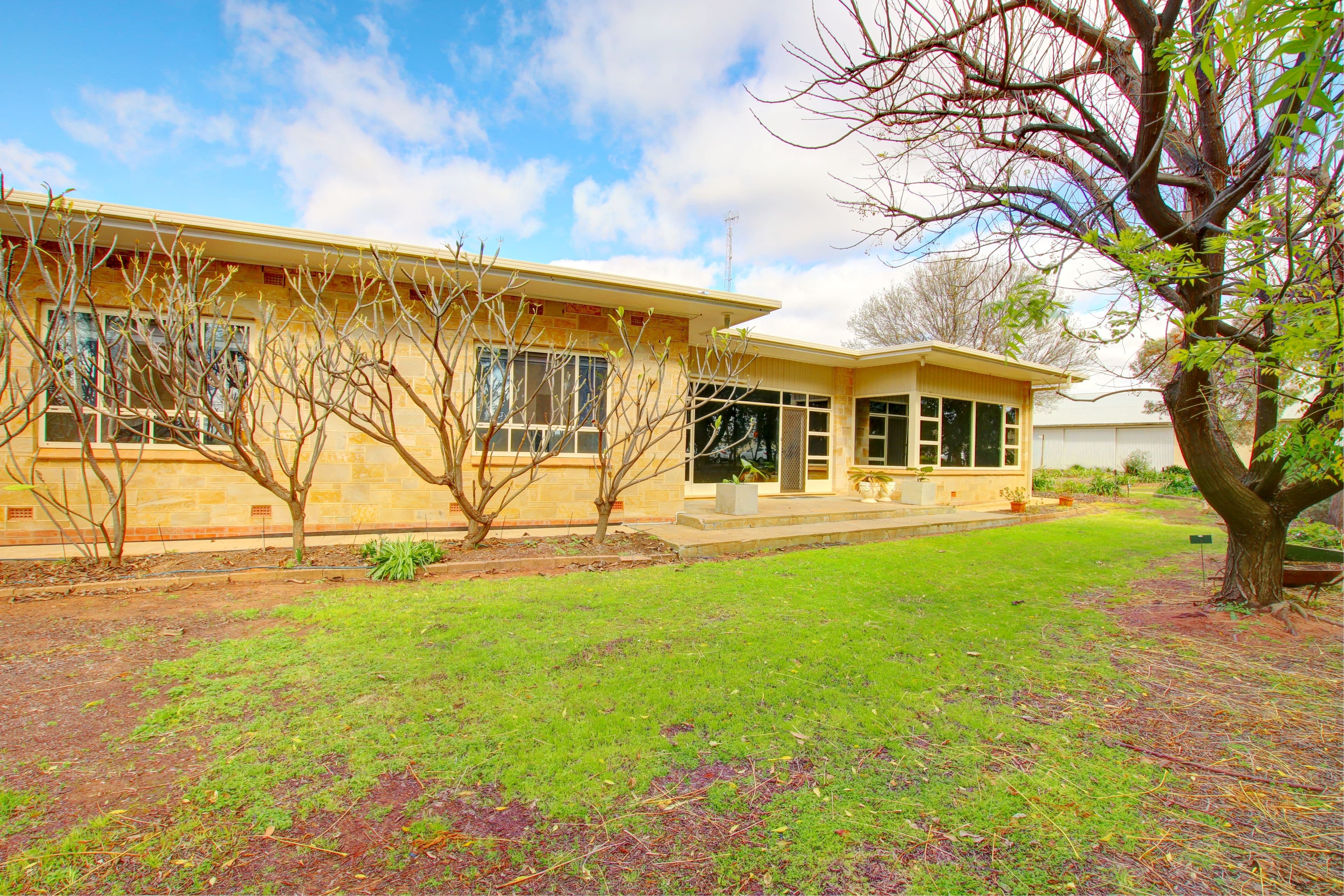 13 Blake Road, Waikerie SA 5330, Waikerie - Thumbnail 2