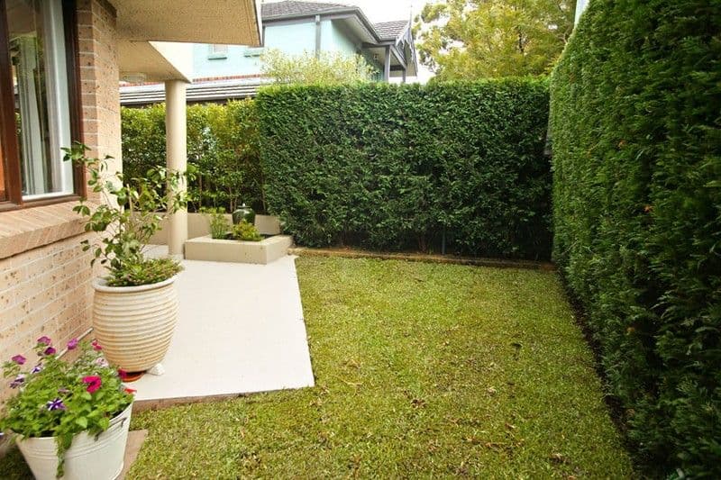 36 Cranbrook Avenue, Cremorne NSW 2090, Cremorne - Thumbnail 5
