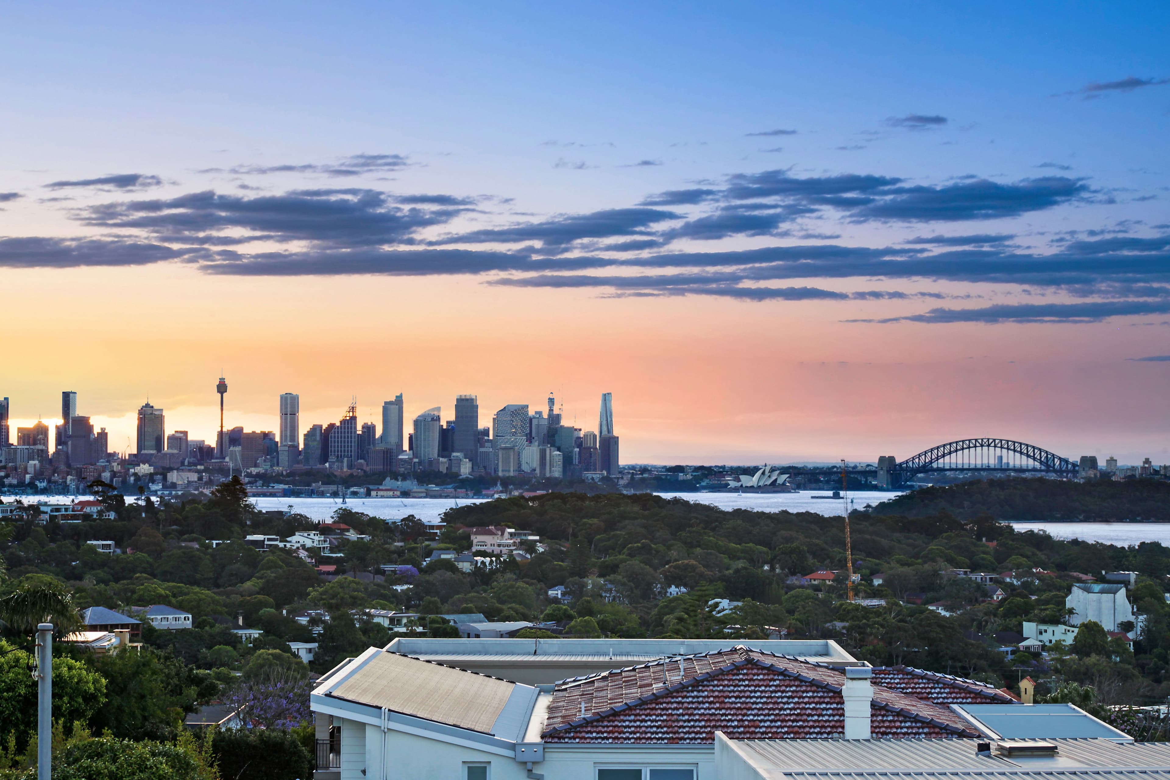 16 Princes Avenue, Vaucluse NSW 2030, Vaucluse - Thumbnail 2