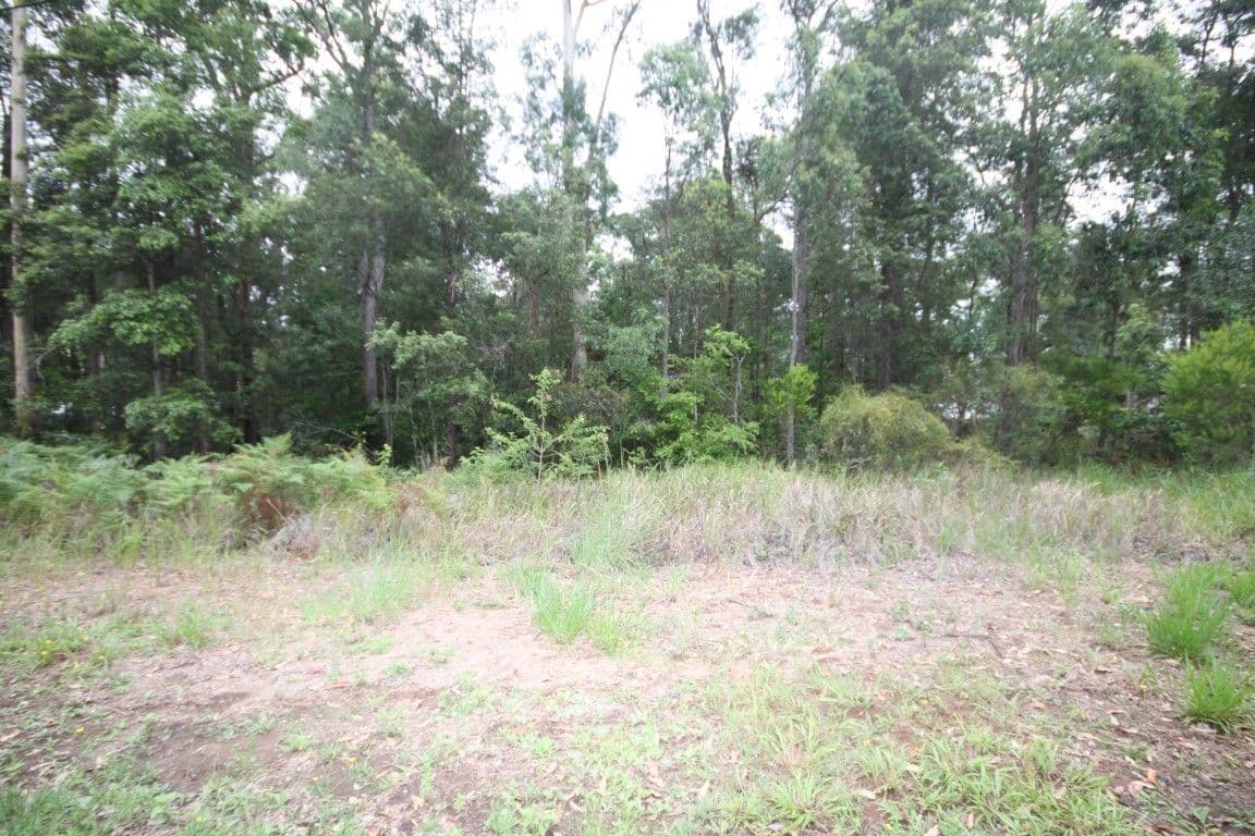 95 Forest Acres Drive, Lake Macdonald QLD 4563, Lake Macdonald - Image 1