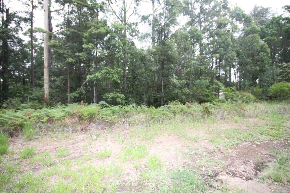 95 Forest Acres Drive, Lake Macdonald QLD 4563, Lake Macdonald - Thumbnail 3
