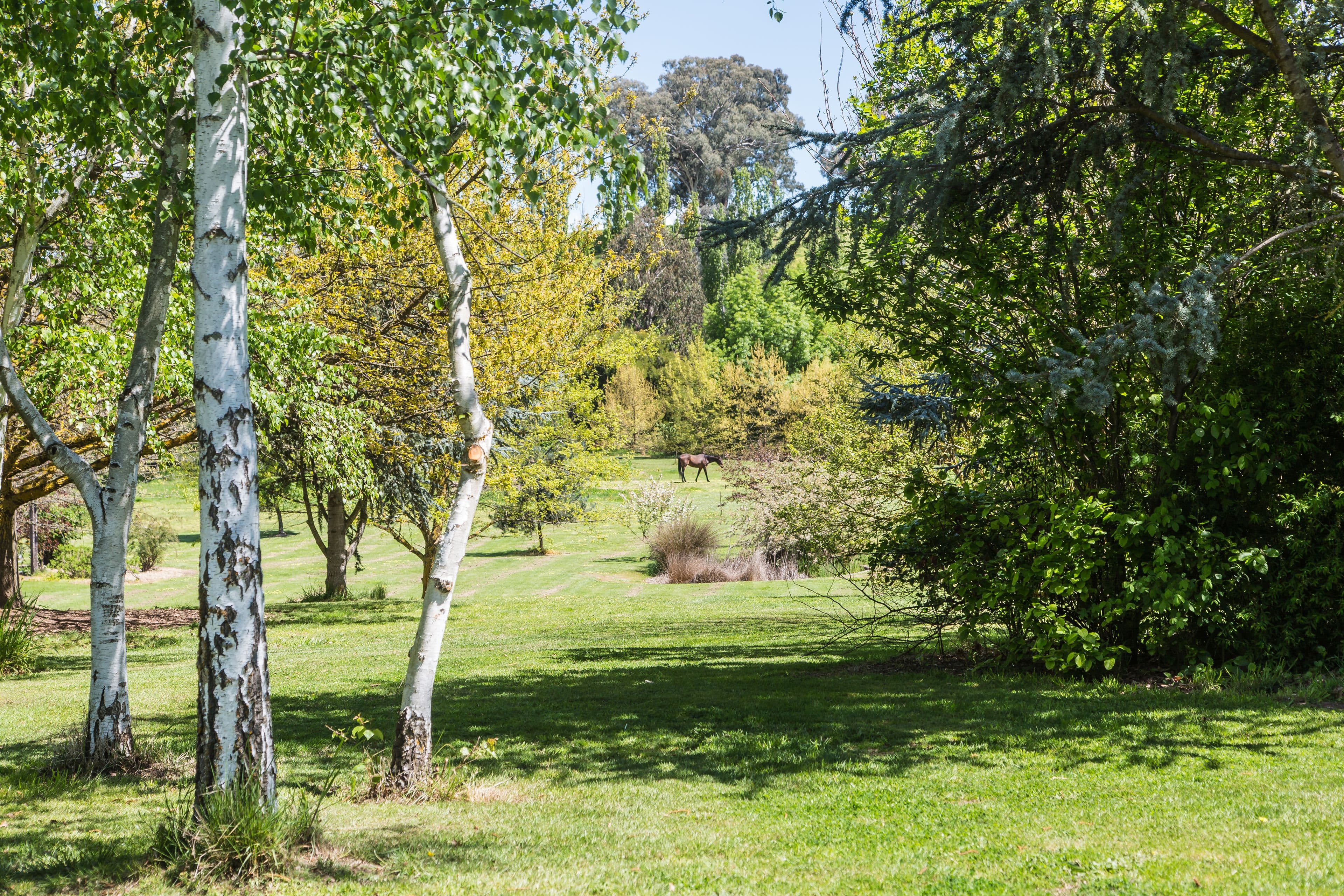 1270 Mansfield-Woods Point Road, Piries VIC 3723, Piries - Thumbnail 5