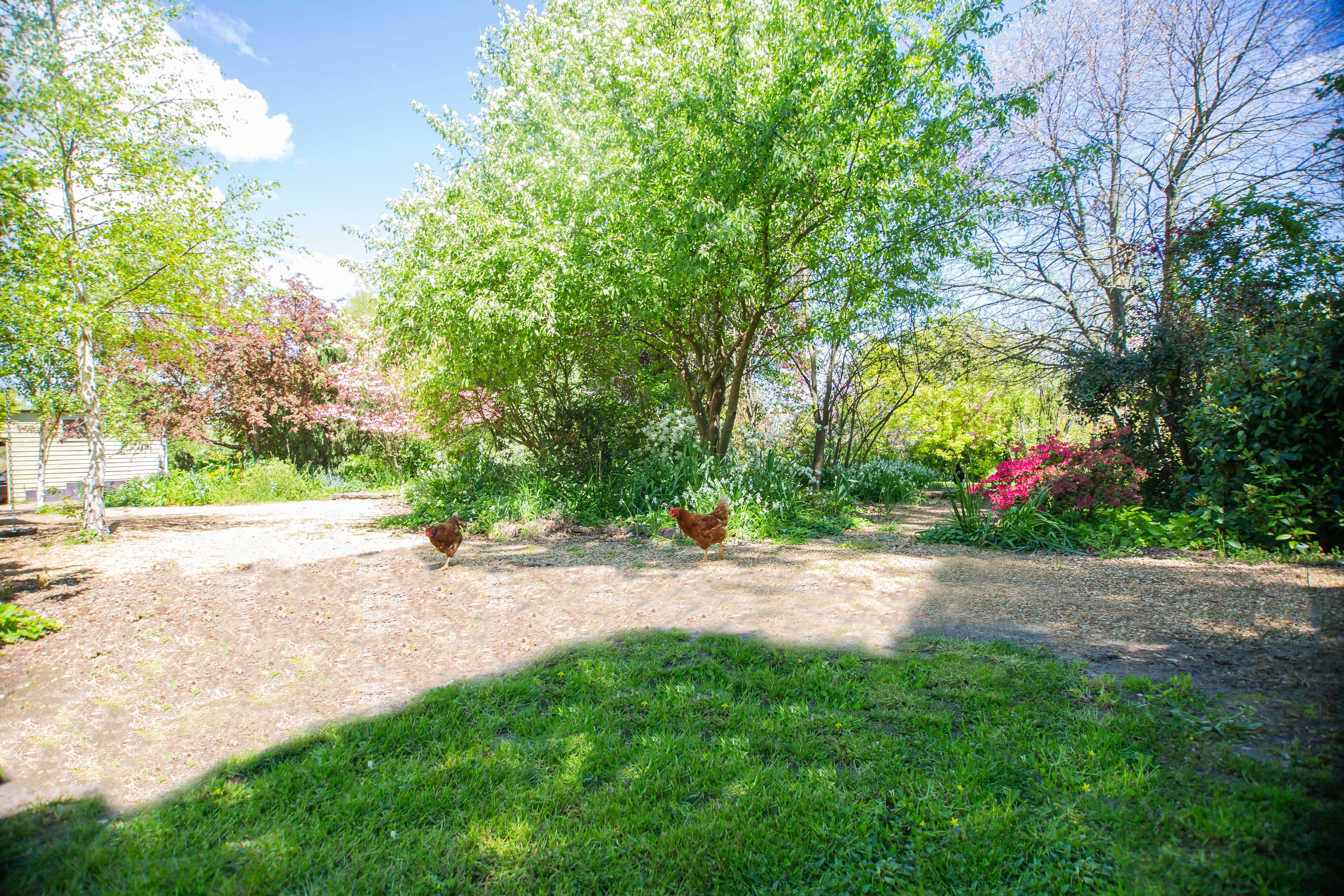 1270 Mansfield-Woods Point Road, Piries VIC 3723, Piries - Thumbnail 6