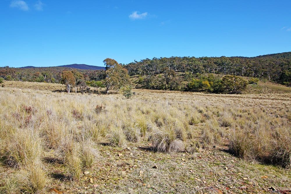 42 Sinclair Road, Primrose Valley NSW 2621, Primrose Valley - Thumbnail 8