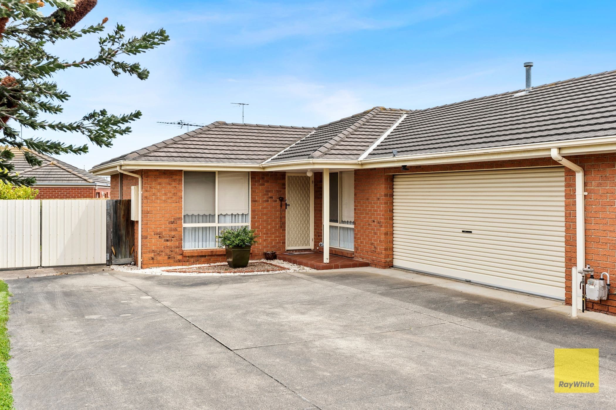 8 Homewood Lane, Highton VIC 3216, Highton - Image 1