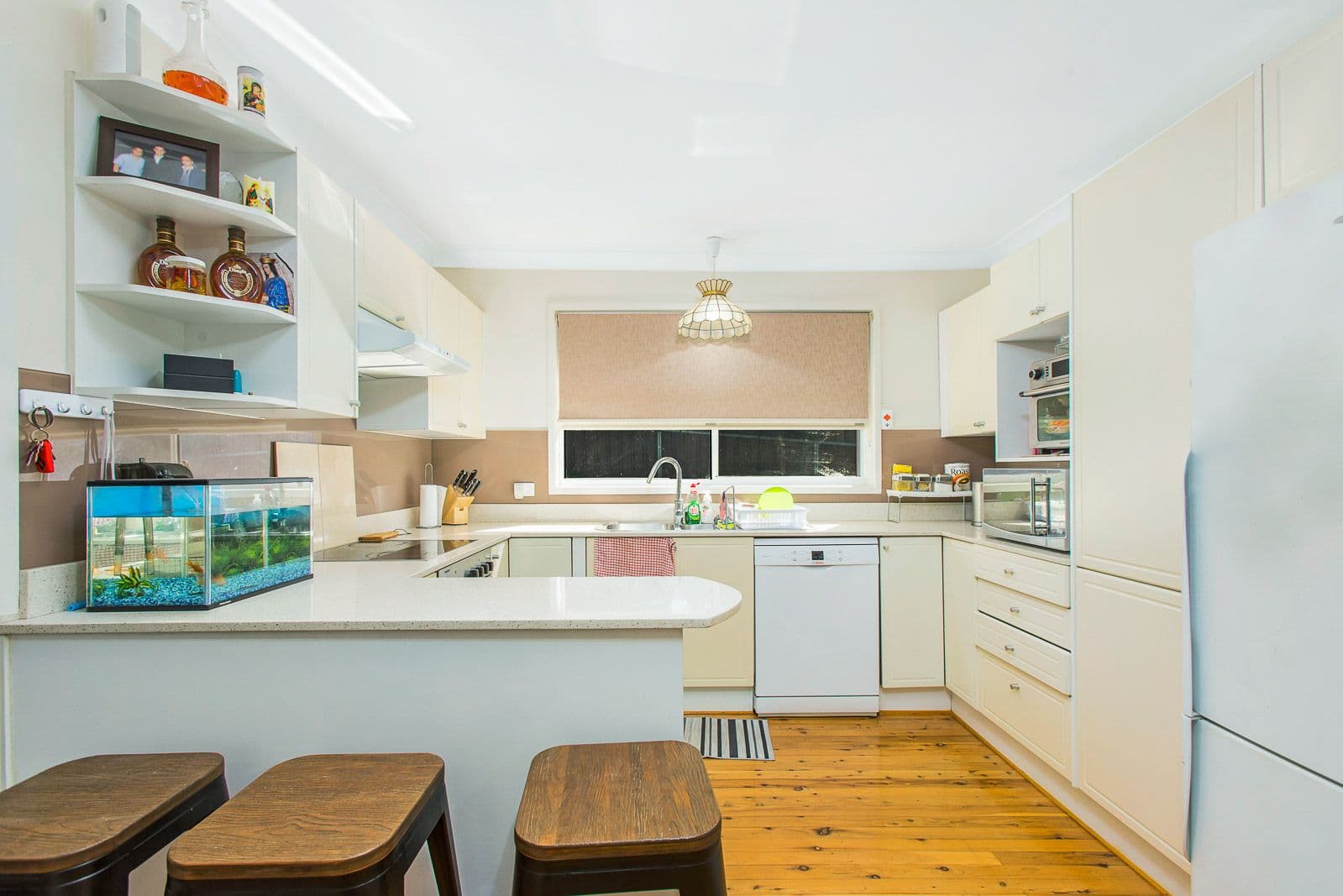 14 Cobbity Street, Seven Hills NSW 2147, Seven Hills - Thumbnail 3