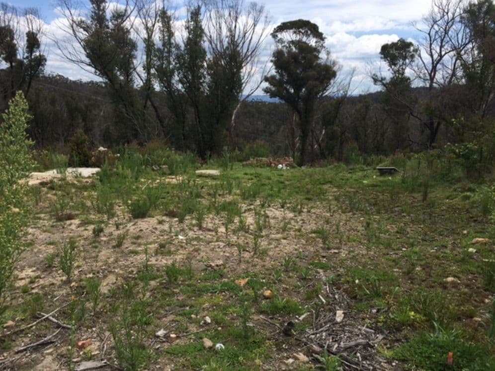 20 St Georges Parade, Mount Victoria NSW 2786, Mount Victoria - Thumbnail 3