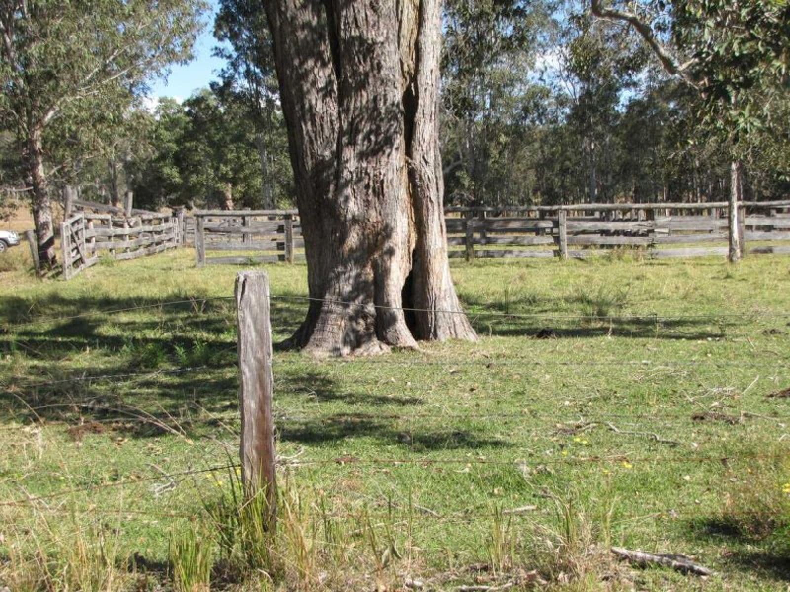 Baryulgil NSW 2460, Baryulgil - Thumbnail 5