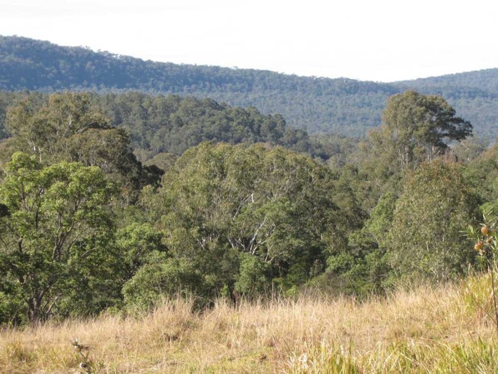 Baryulgil NSW 2460, Baryulgil - Thumbnail 7