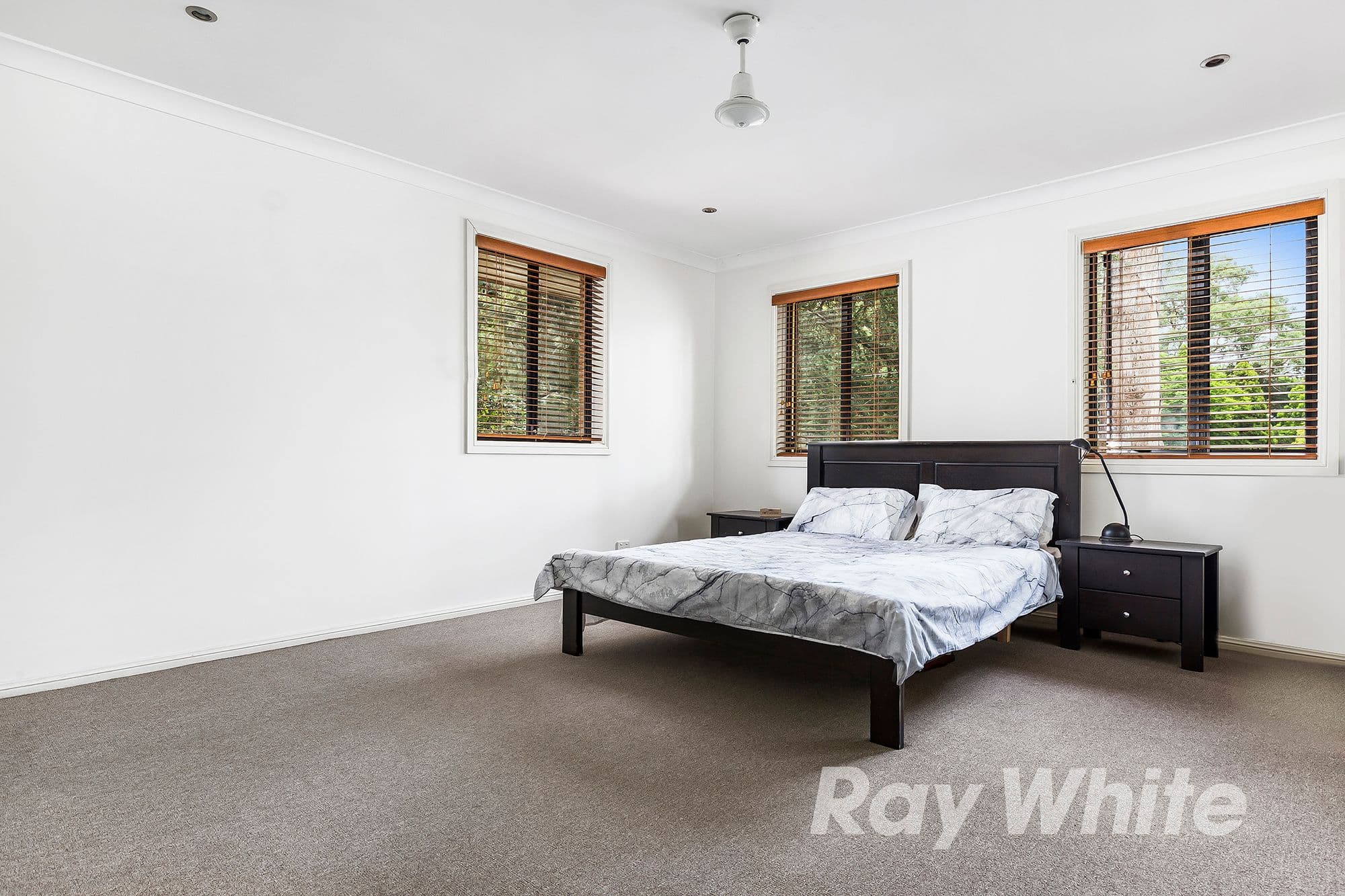 45 Francis Street, Castle Hill - Thumbnail 8