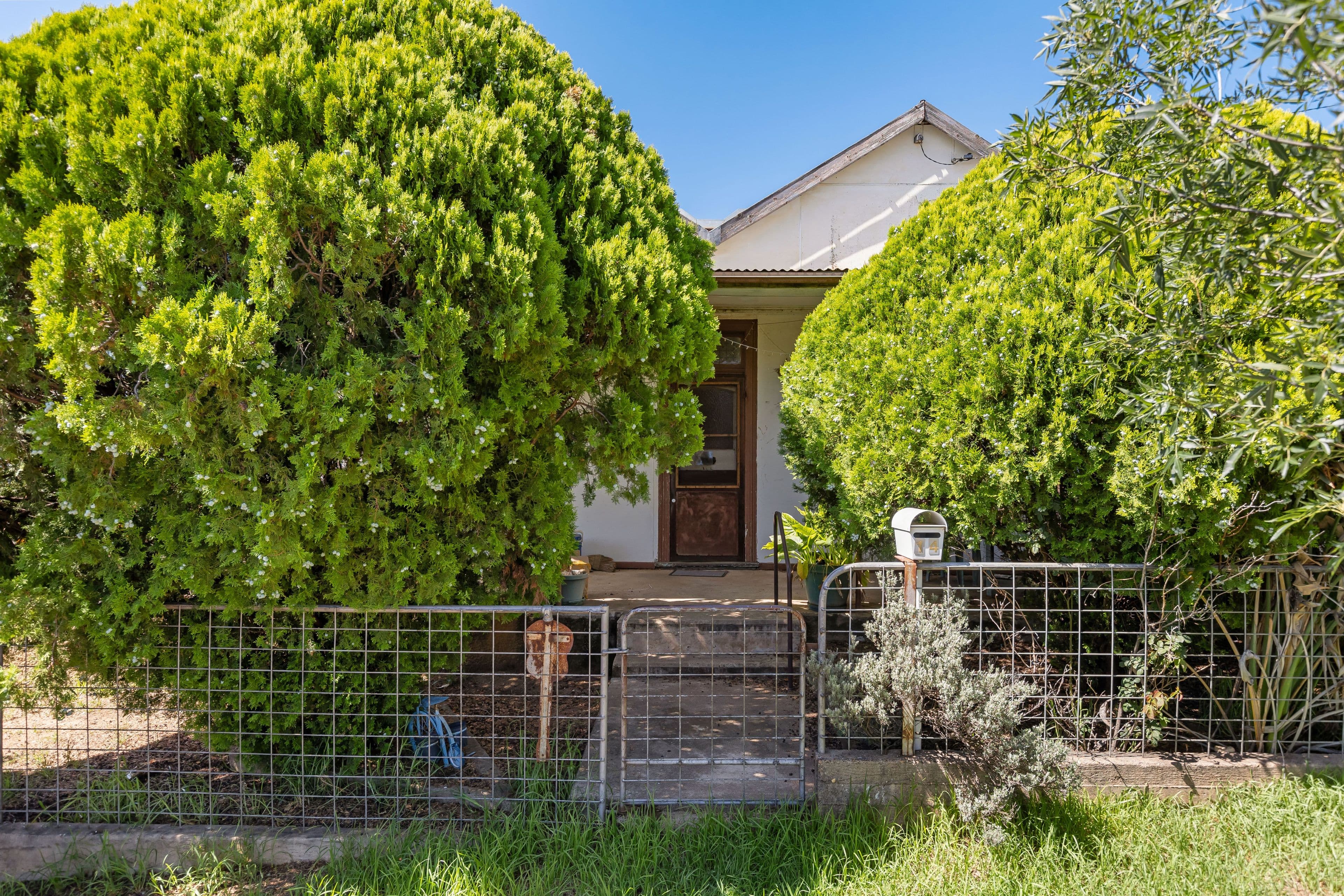 14 Thomas Street, Junee NSW 2663, Junee - Image 1