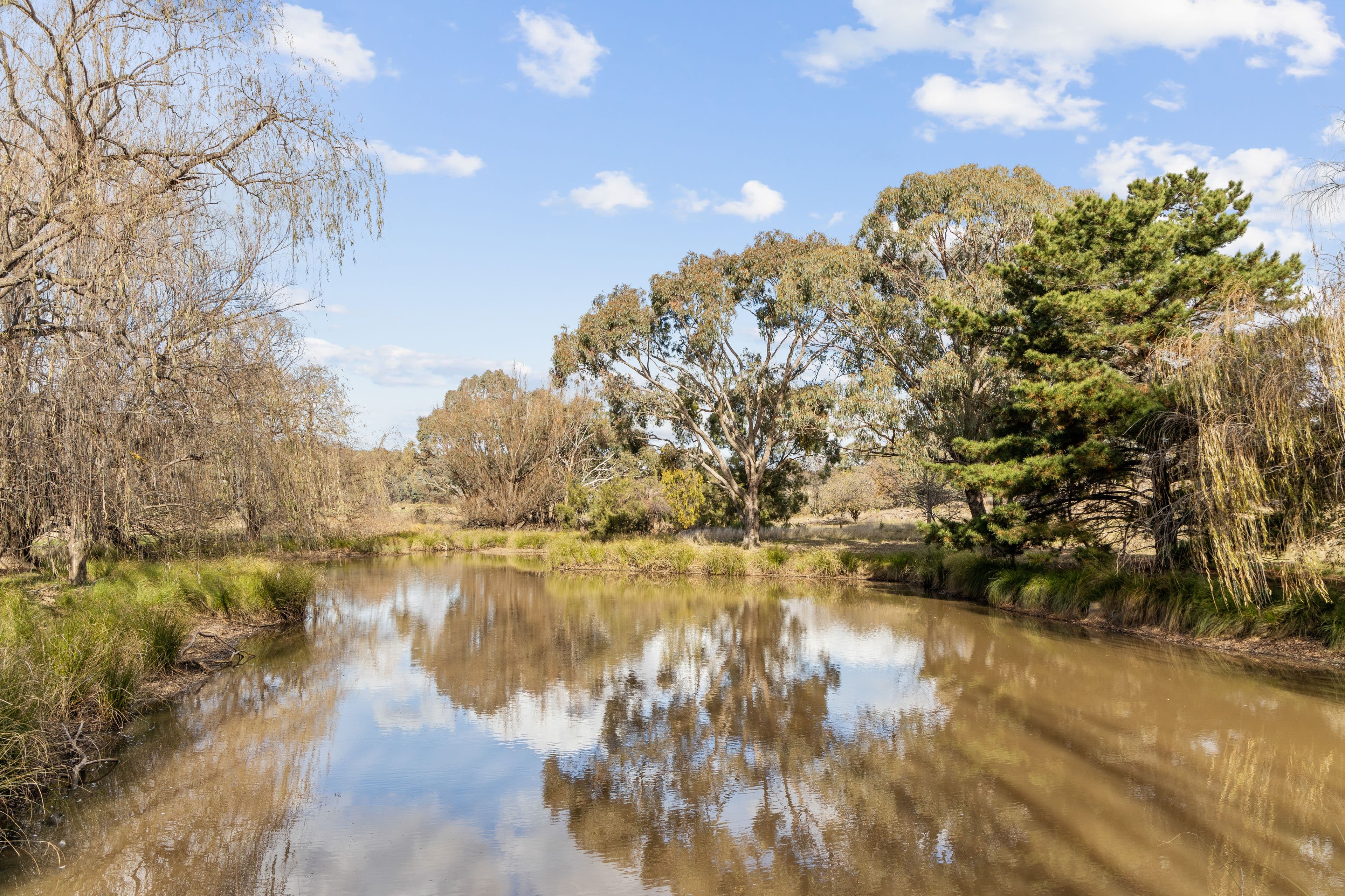 1576 Blakney Creek North Road, Yass NSW 2582, Yass - Thumbnail 5